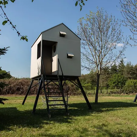 Dzban Campsite